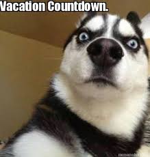 zz vacation countdown.jpg
